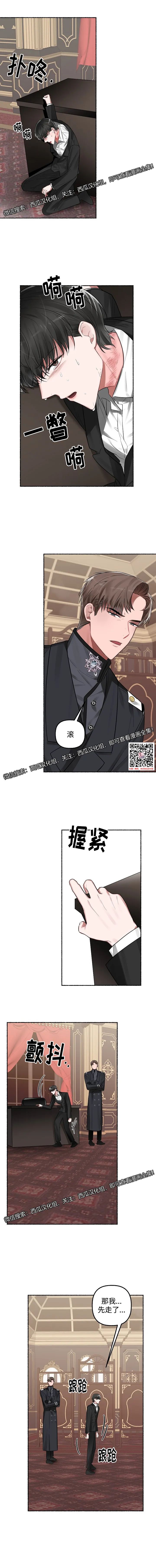 章节图片
