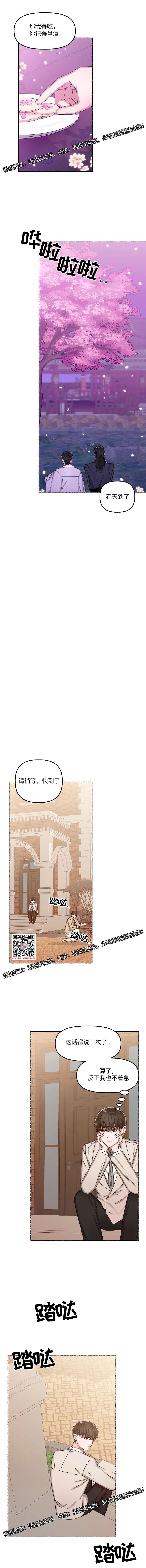 章节图片