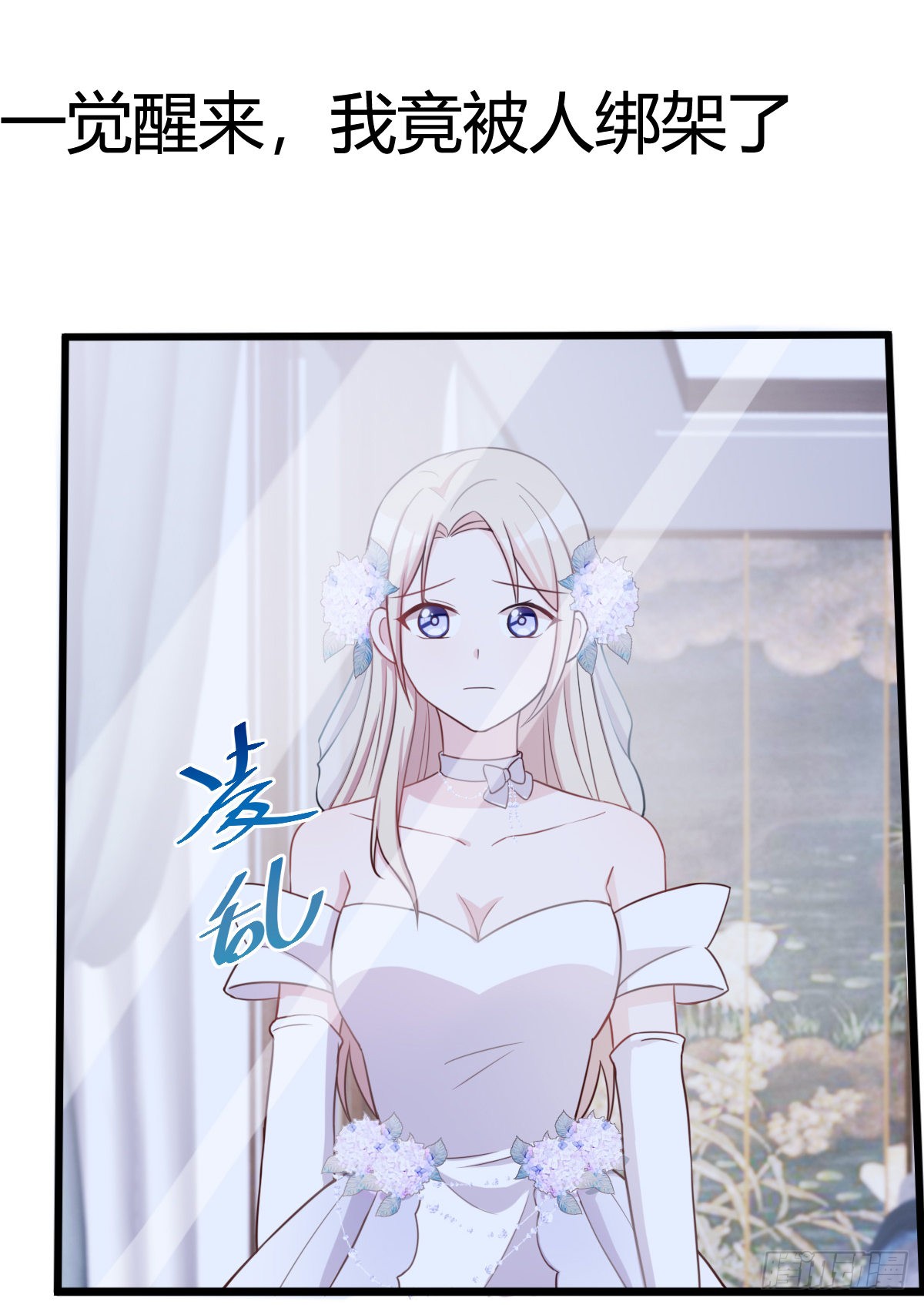 章节图片