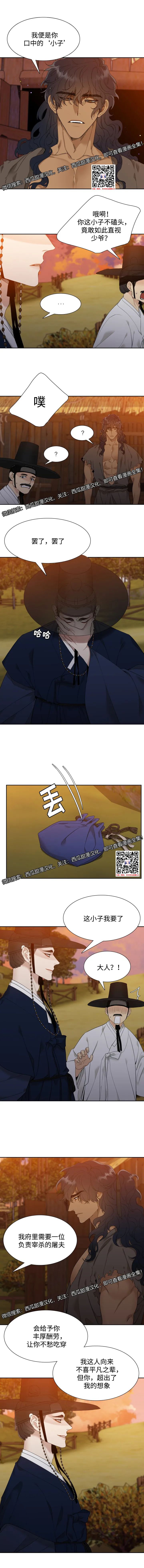 章节图片