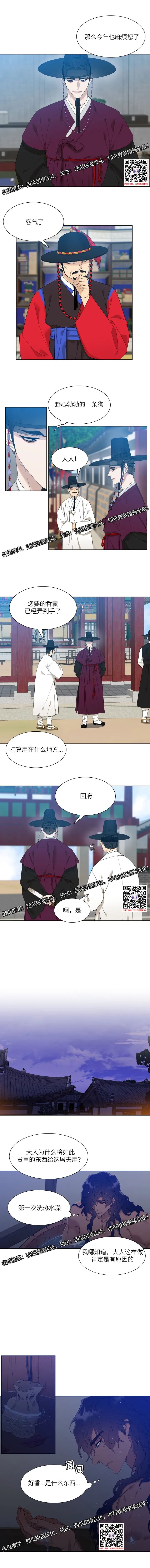 章节图片
