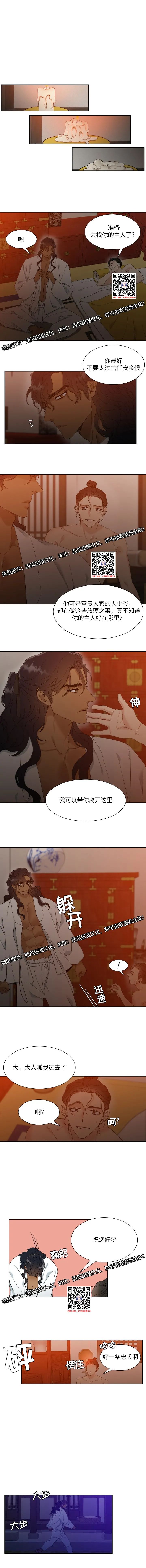 章节图片