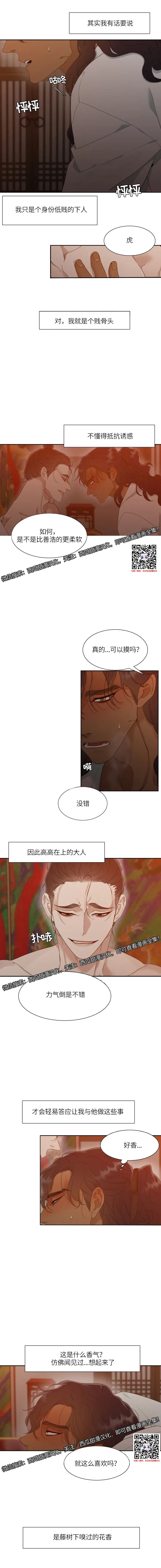 章节图片