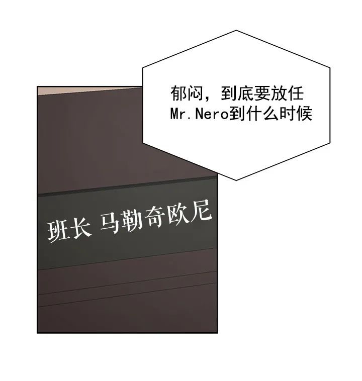 章节图片