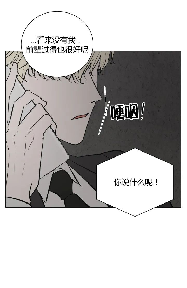 章节图片