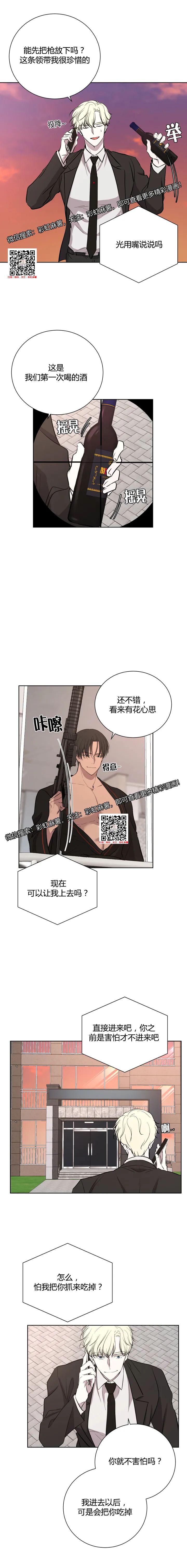 章节图片