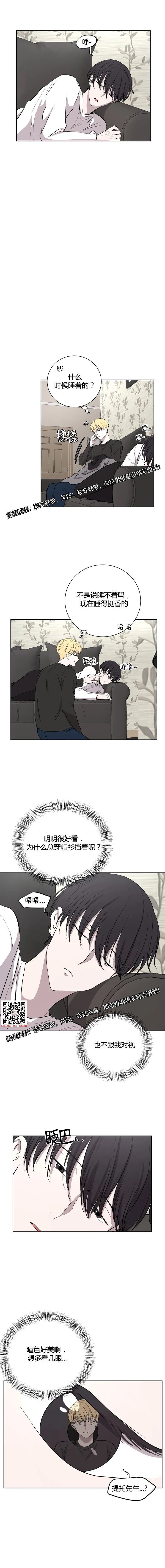 章节图片
