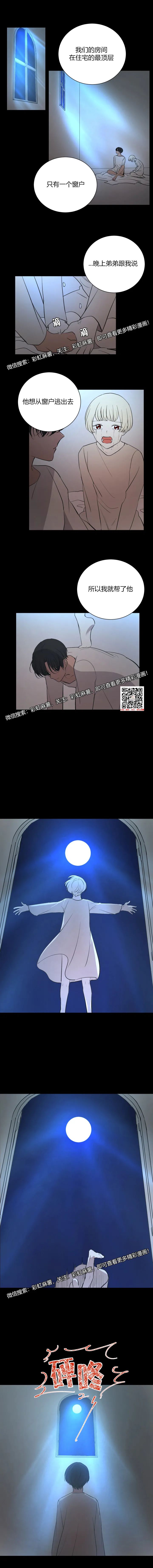章节图片