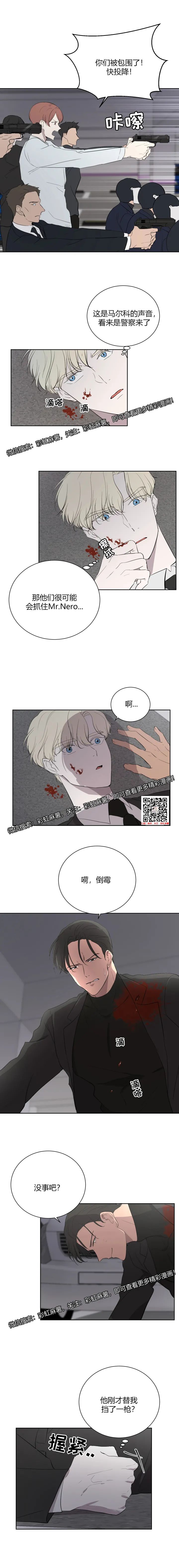 章节图片