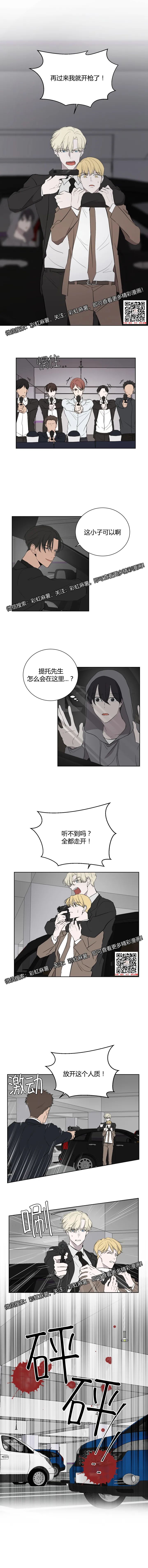 章节图片