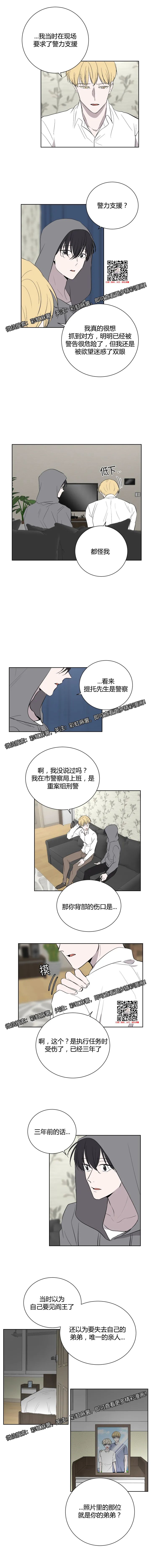 章节图片