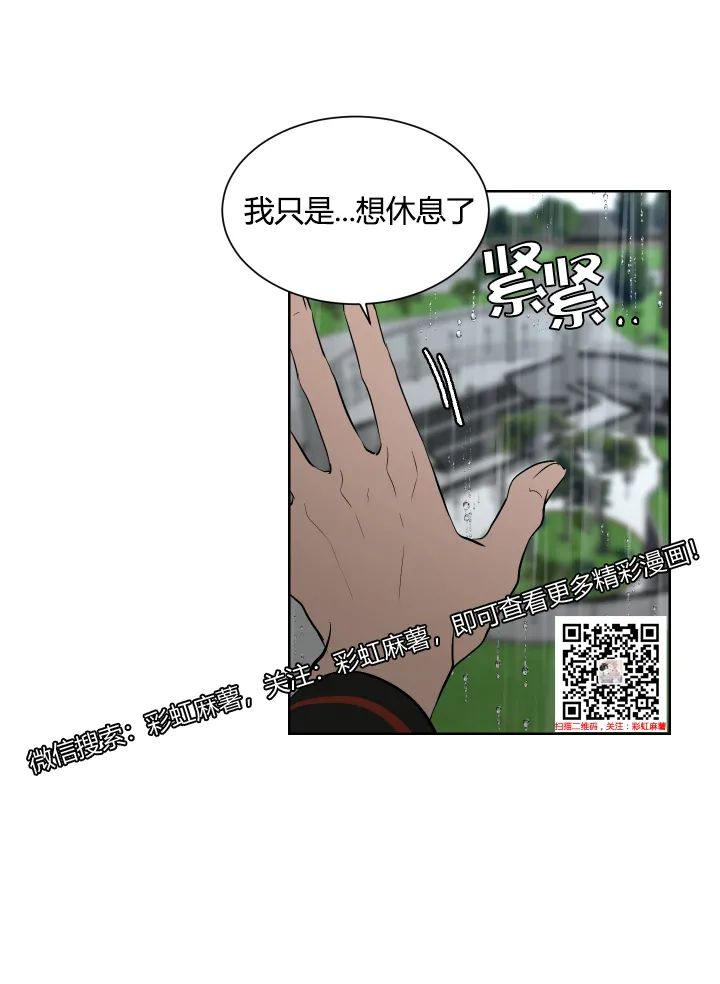 章节图片