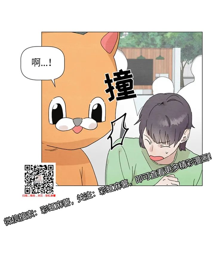 章节图片
