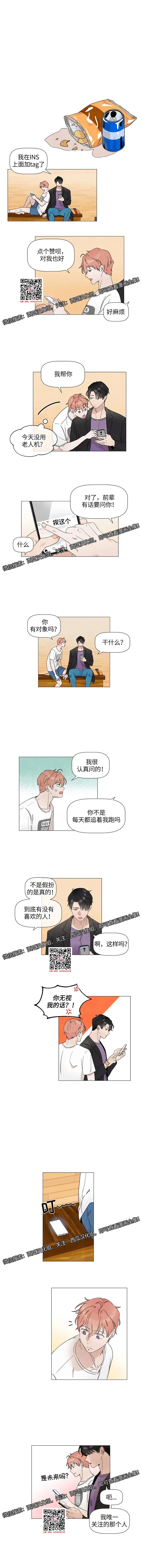 章节图片