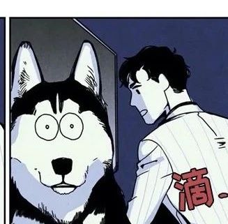 家有饿狼漫画第19话