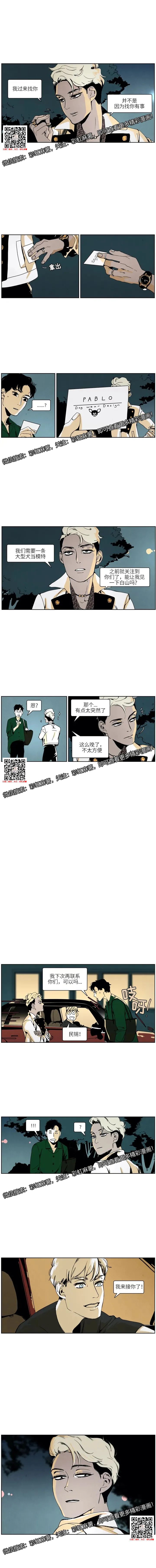 章节图片