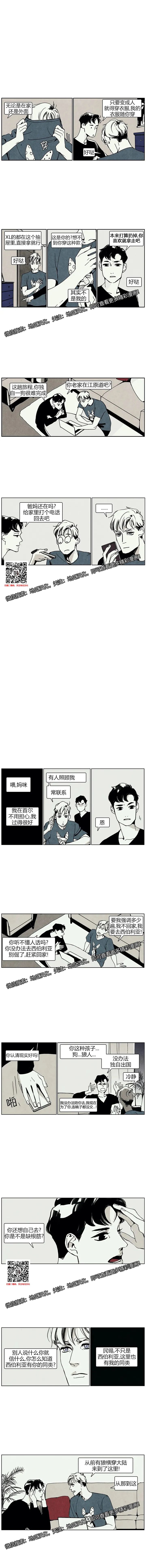 章节图片