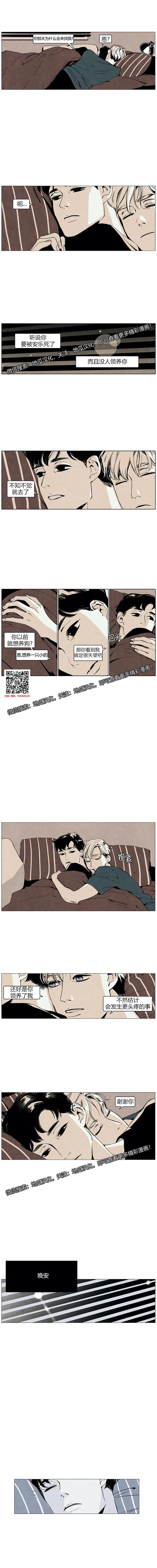 章节图片