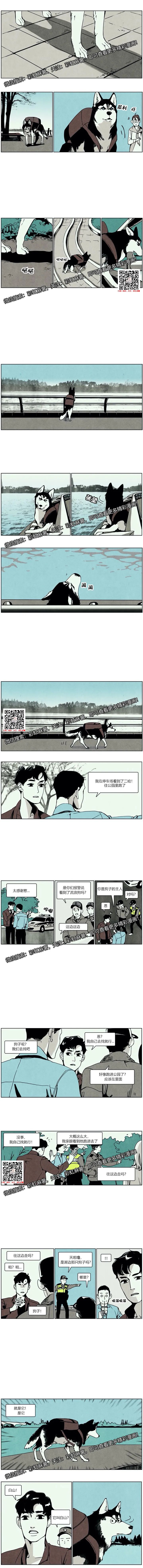 章节图片