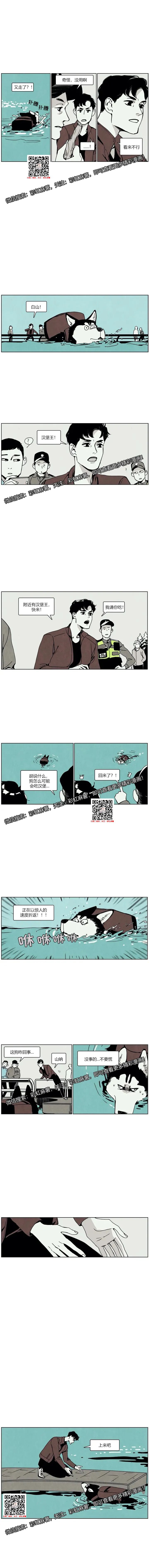 章节图片