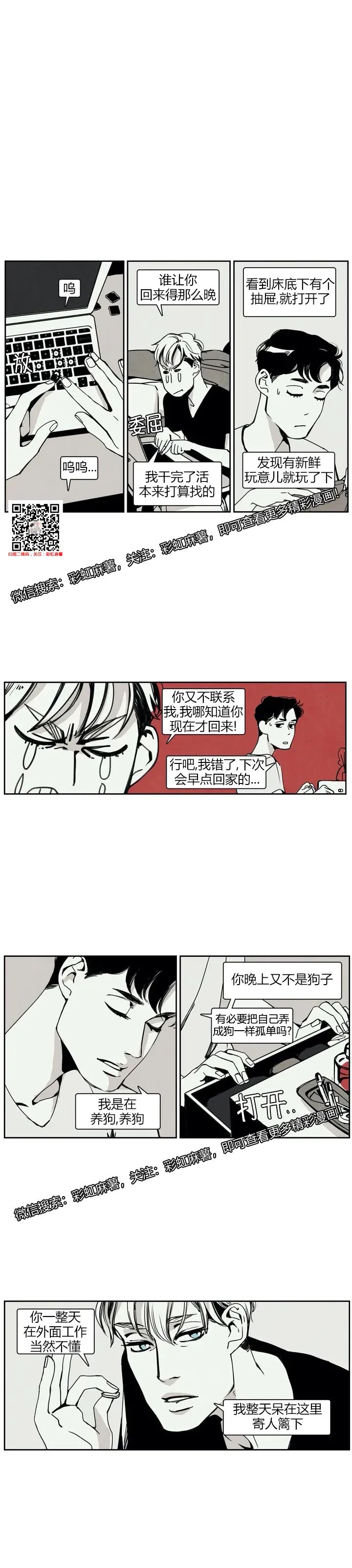章节图片