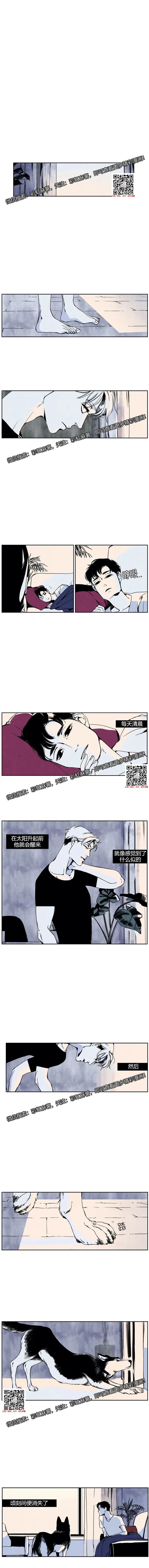 章节图片