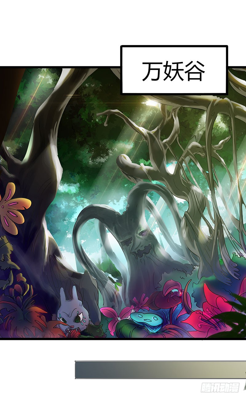 章节图片