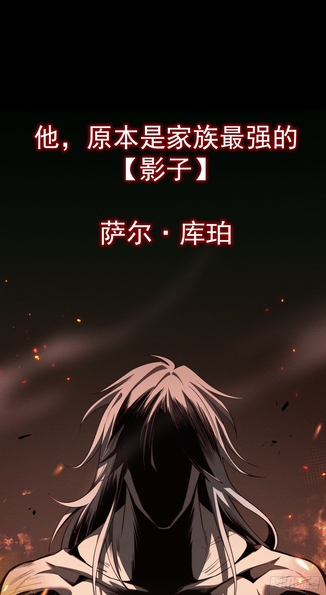 章节图片