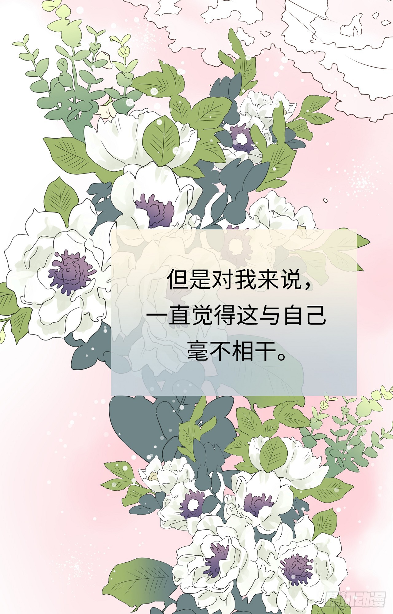 章节图片