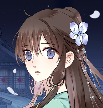 镜花殇