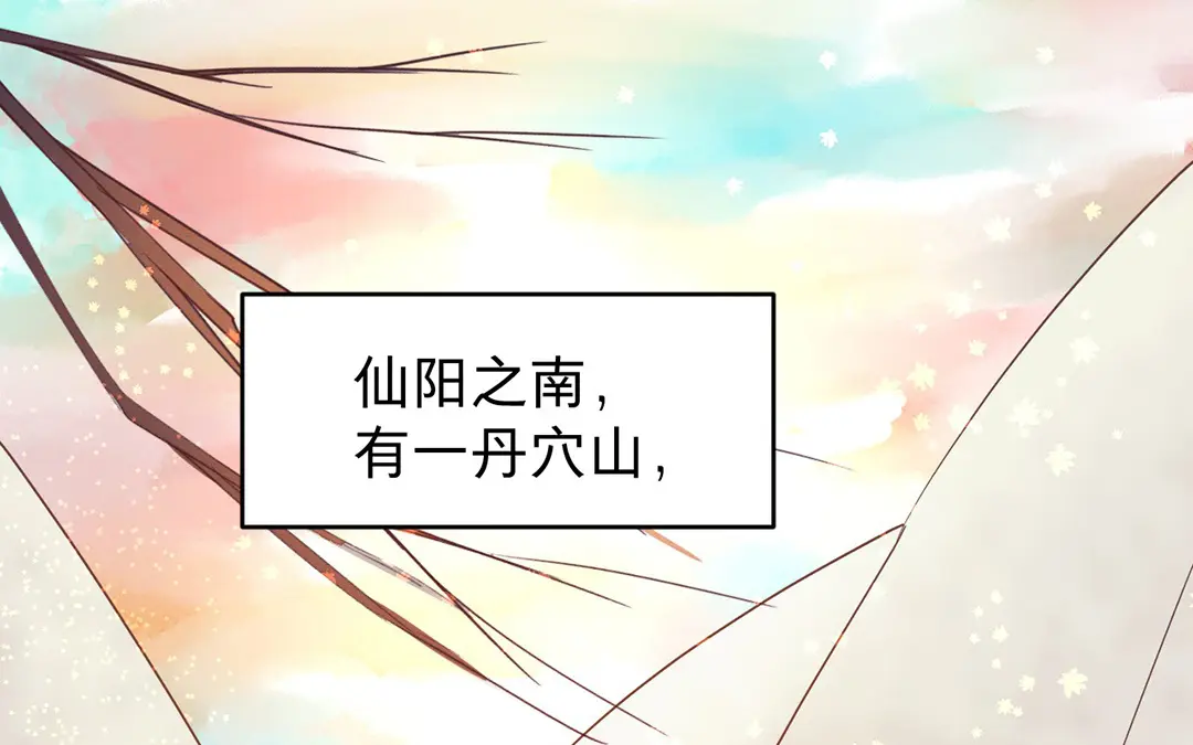 章节图片