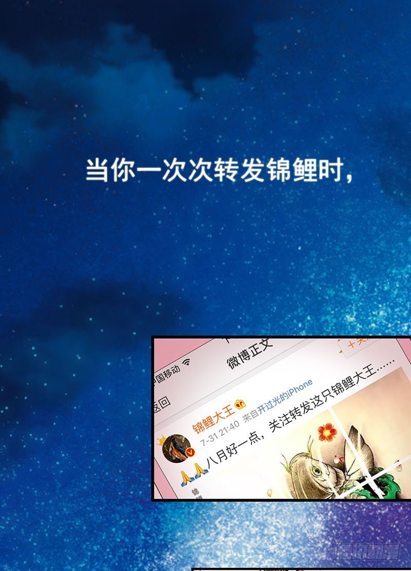 章节图片