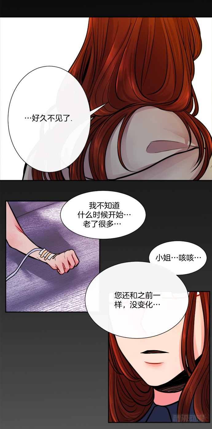章节图片