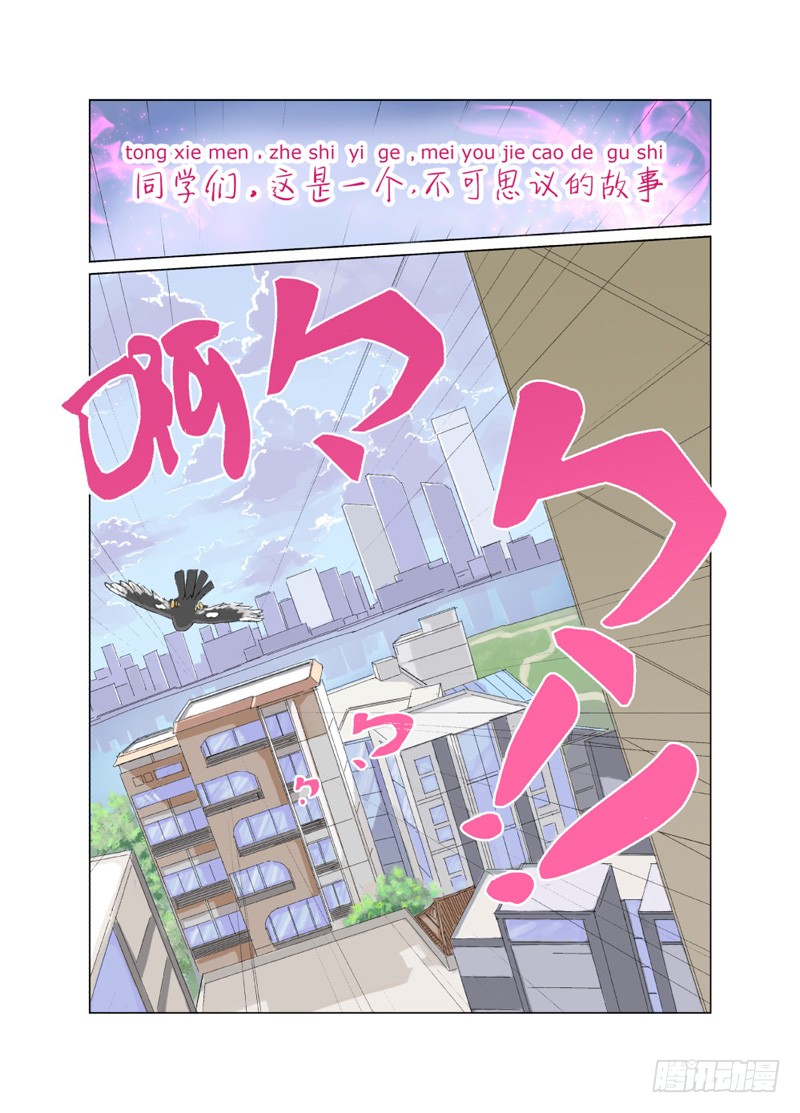 章节图片