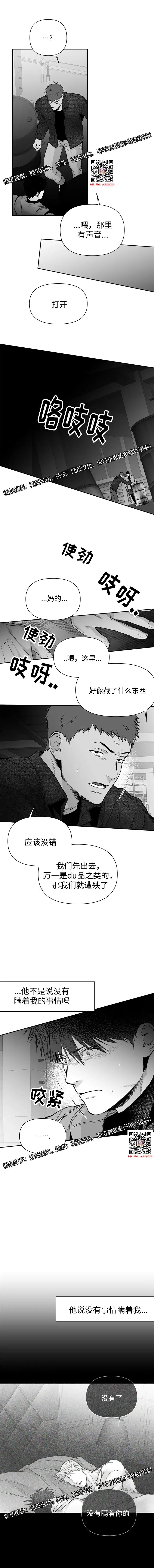 章节图片