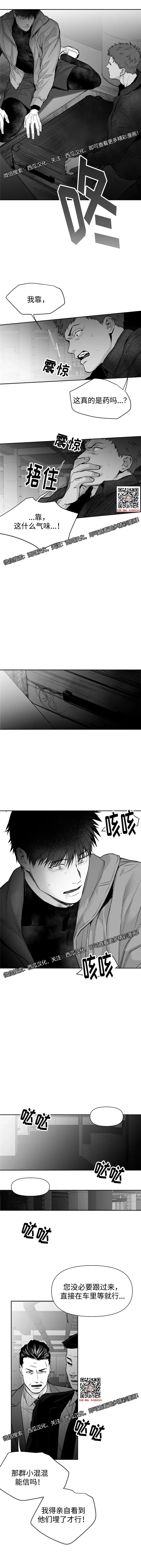 章节图片
