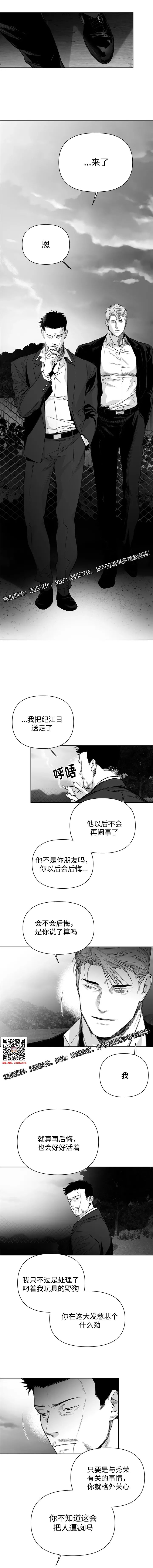 章节图片