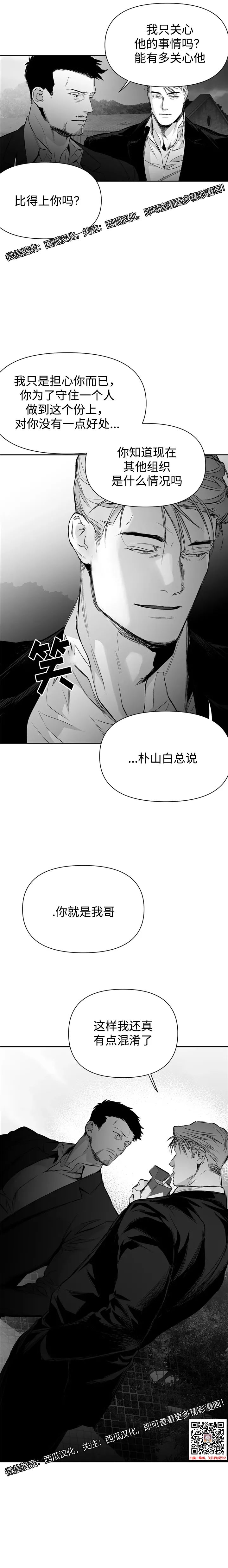 章节图片