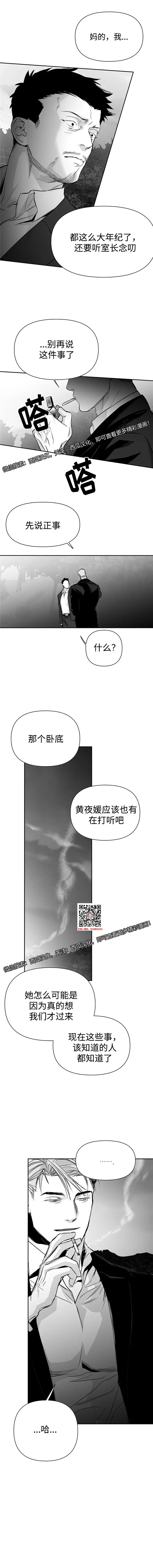 章节图片