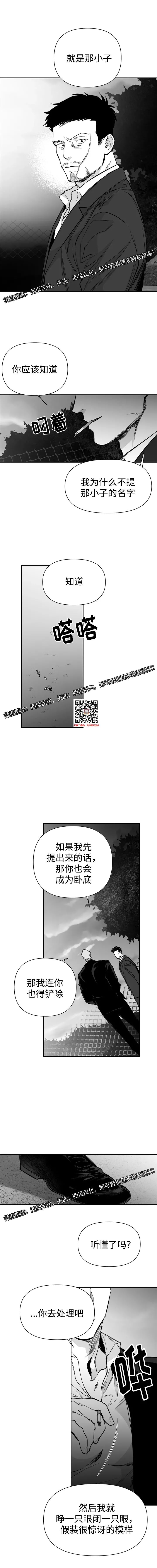 章节图片
