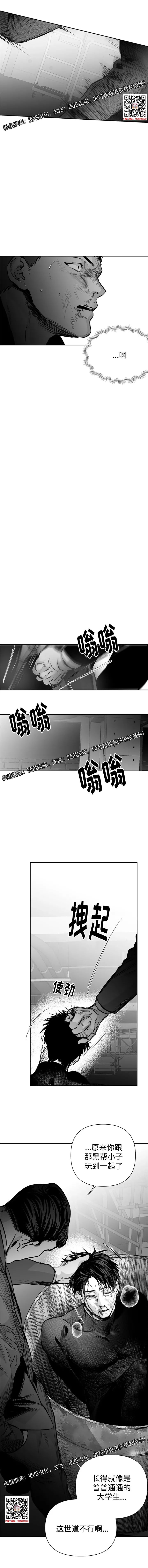 章节图片