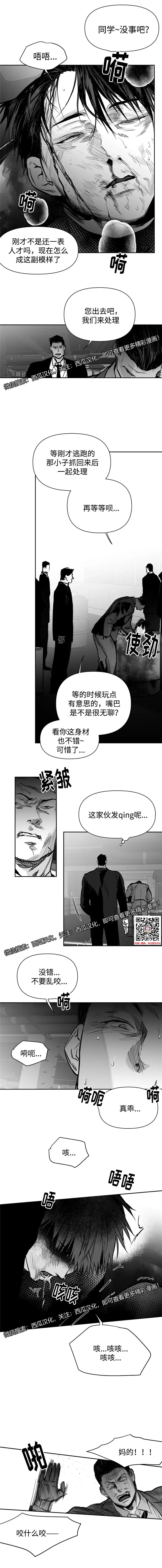 章节图片