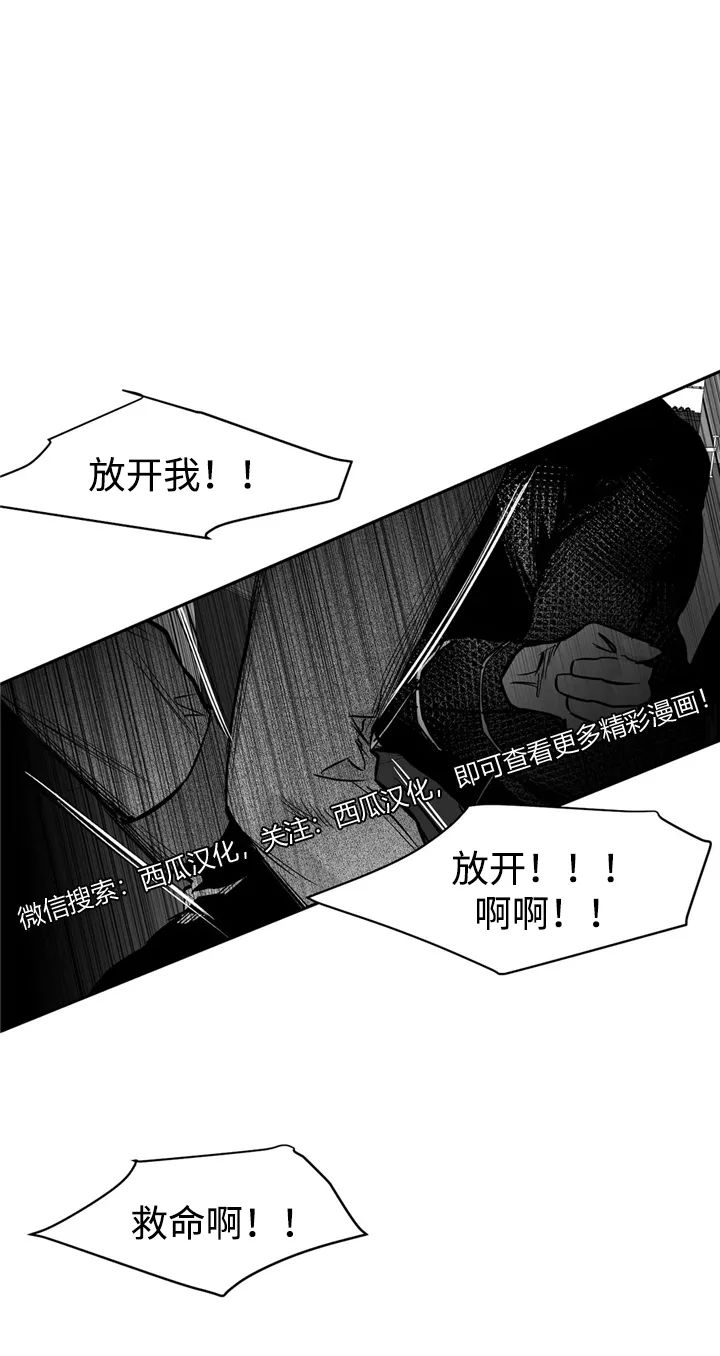 章节图片