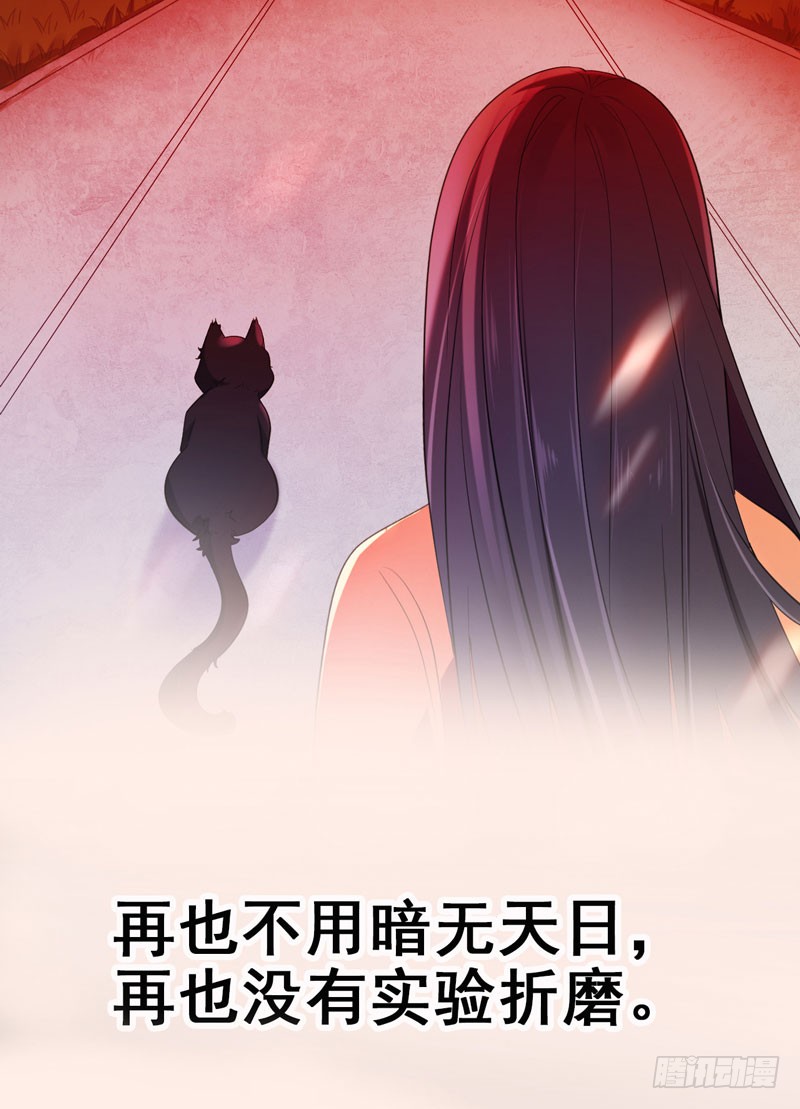 章节图片