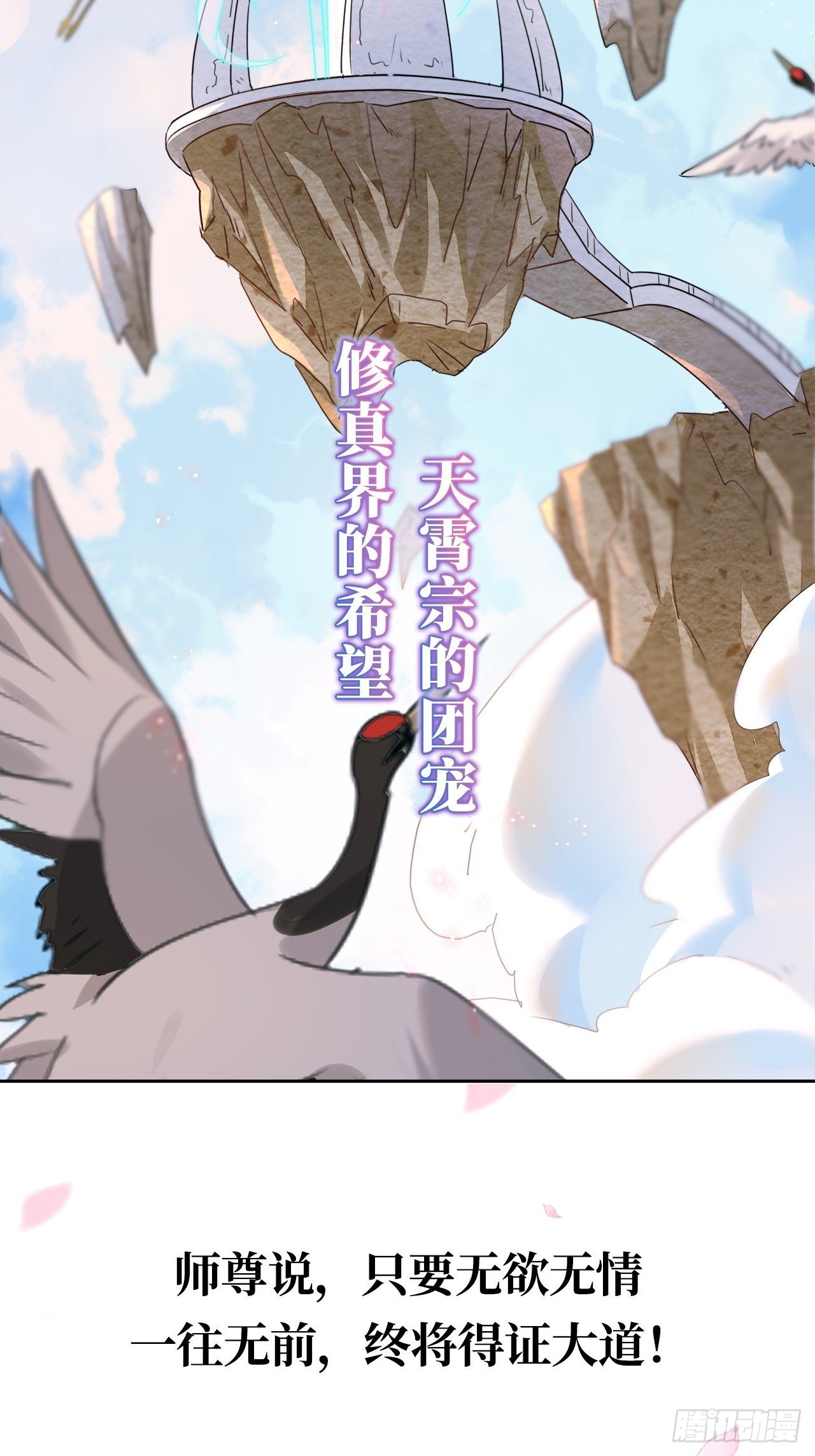 章节图片