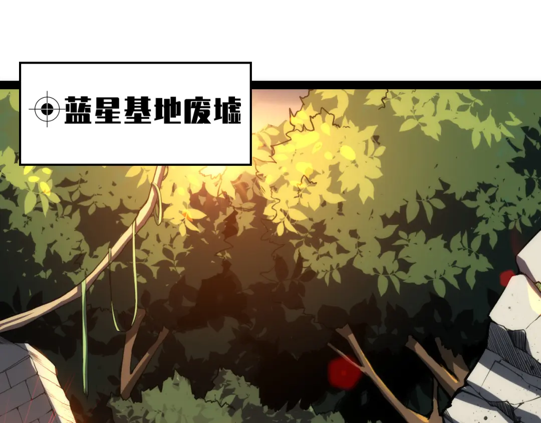章节图片