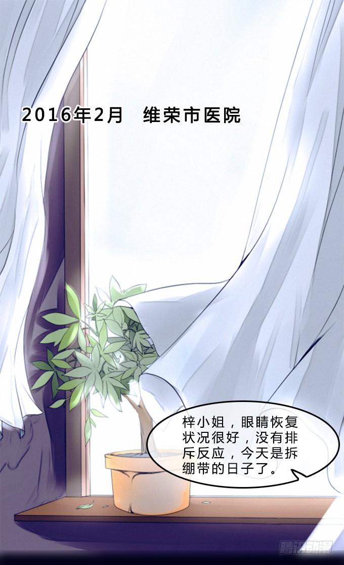 章节图片