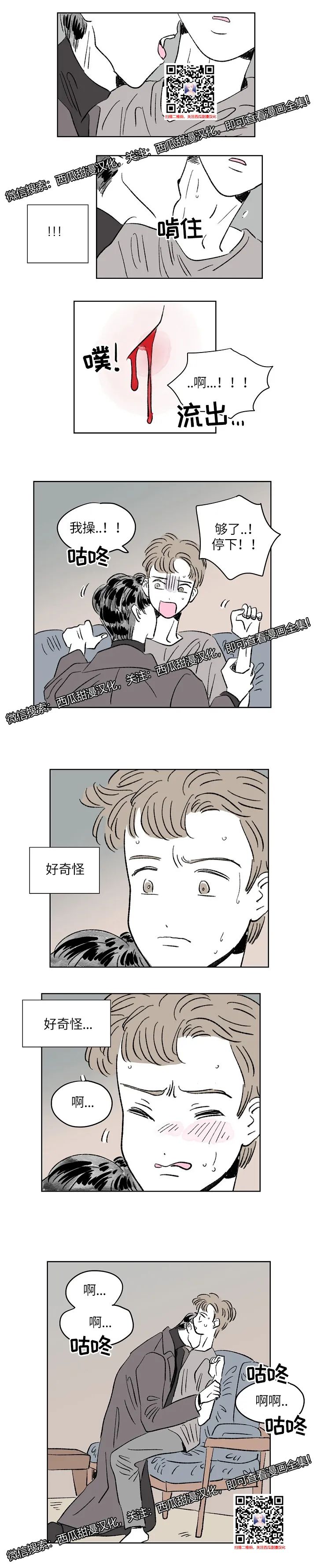 章节图片