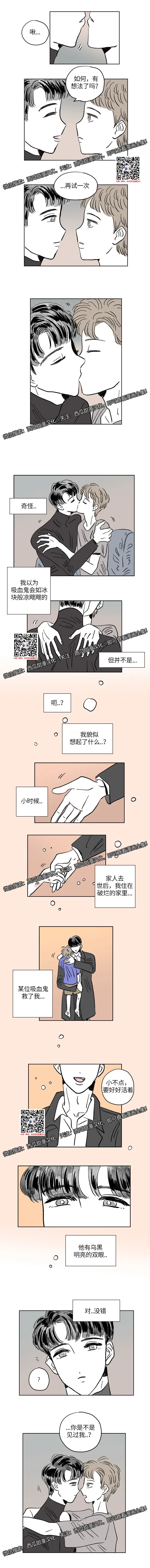 章节图片