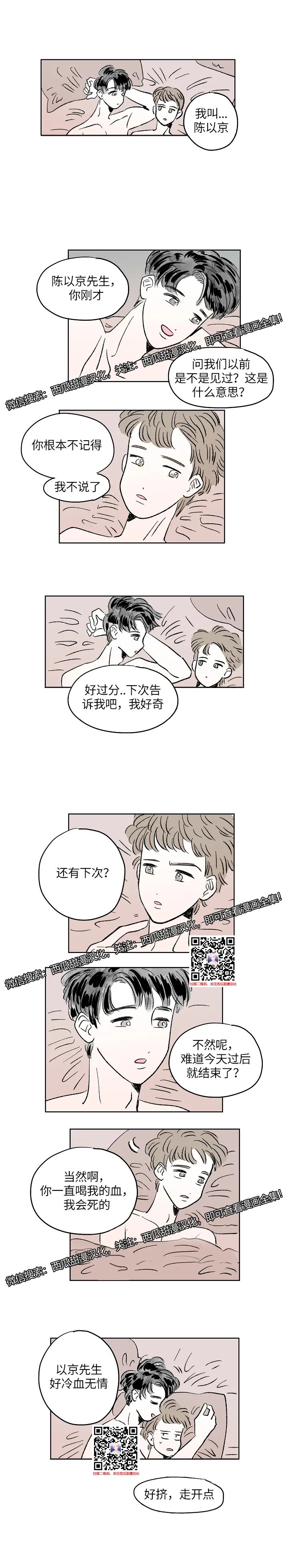 章节图片